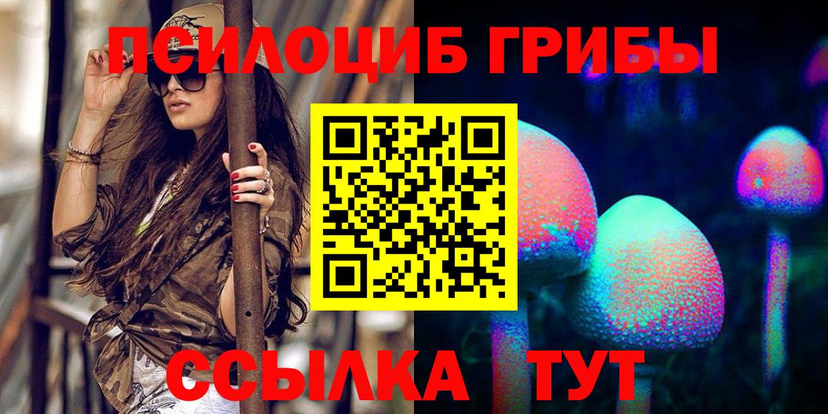Шатура  Псилоцибиновые грибы GOLDEN TEACHER  Вход с VPN 